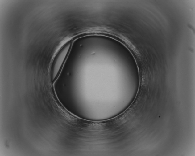 X0000091311224200708311350