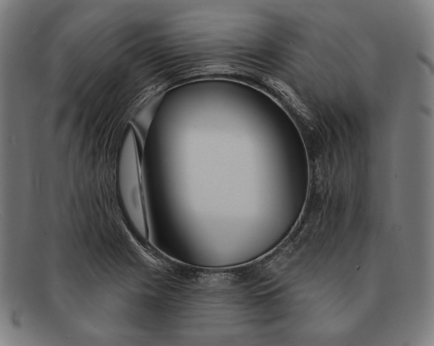 X0000091311225200708311350