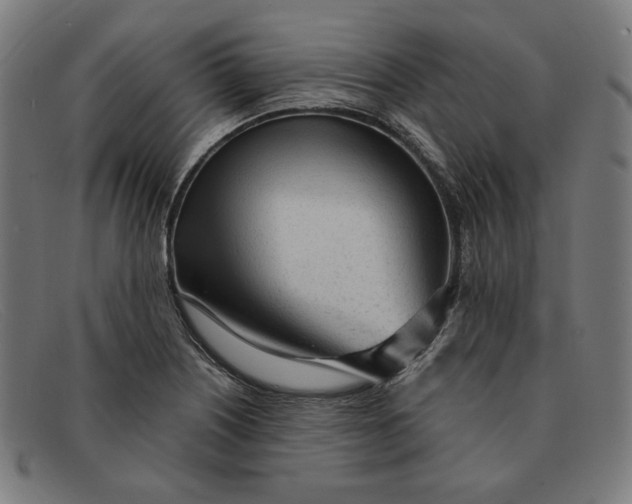 X0000091311226200708311350