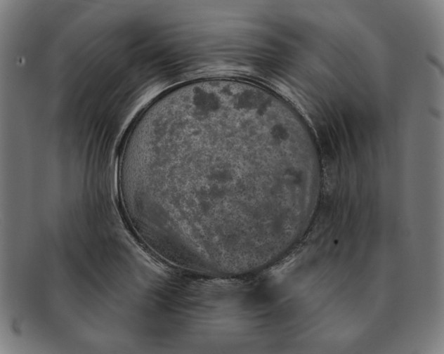 X0000091311227200708311350