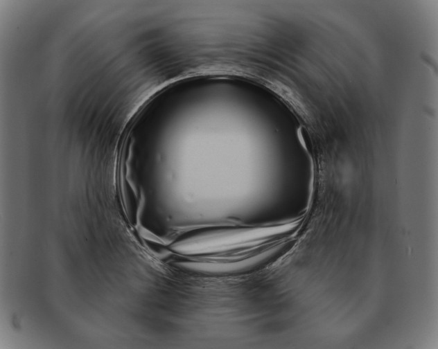 X0000091311228200708311350