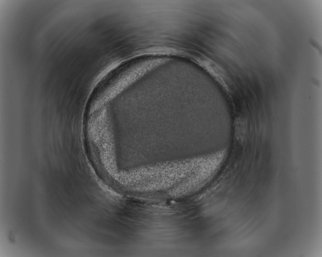 X0000091311229200708311350