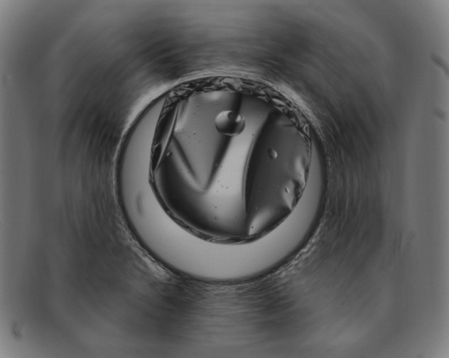 X0000091311230200708311350