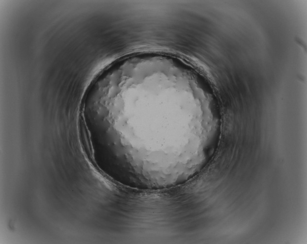 X0000091311231200708311350