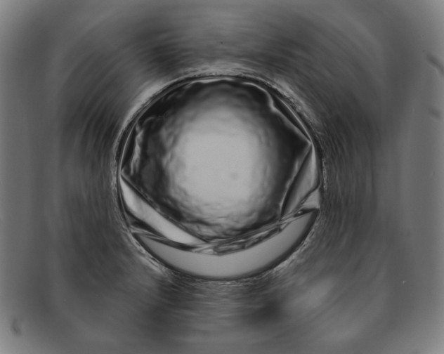 X0000091311232200708311350