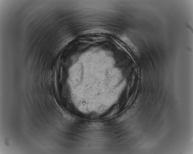 X0000091311233200708311350