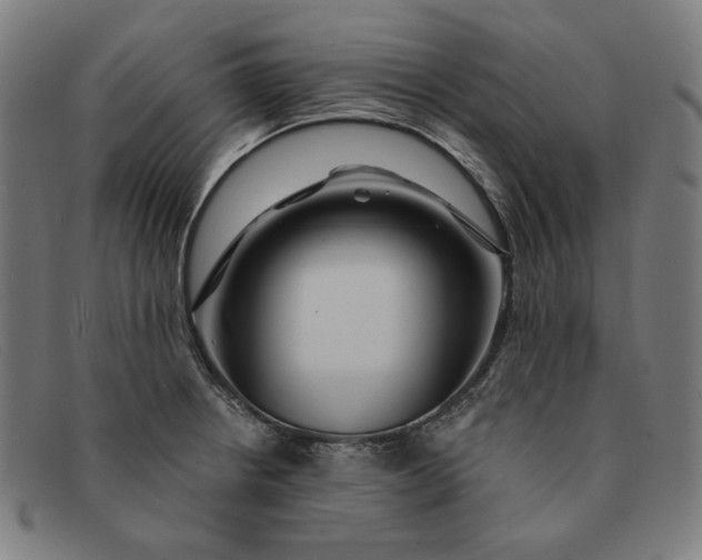 X0000091311234200708311350