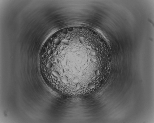 X0000091311235200708311350