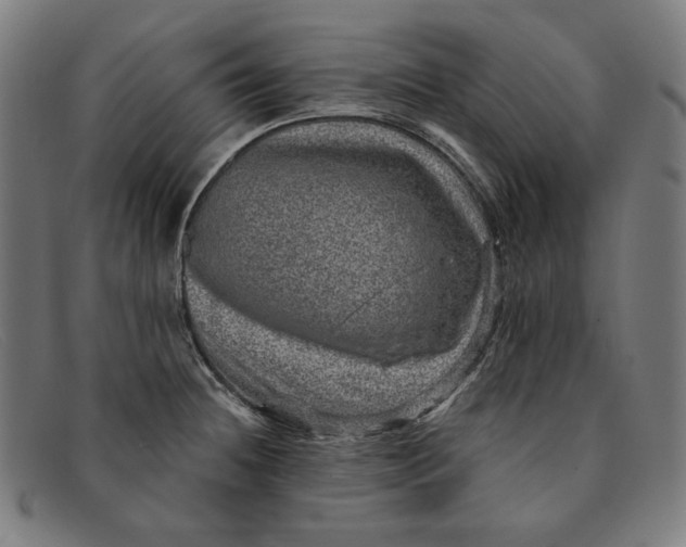 X0000091311236200708311350