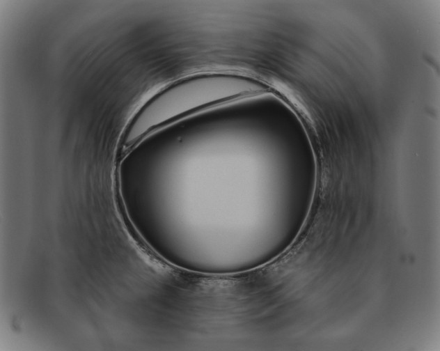 X0000091311237200708311350