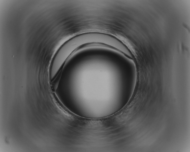 X0000091311238200708311350