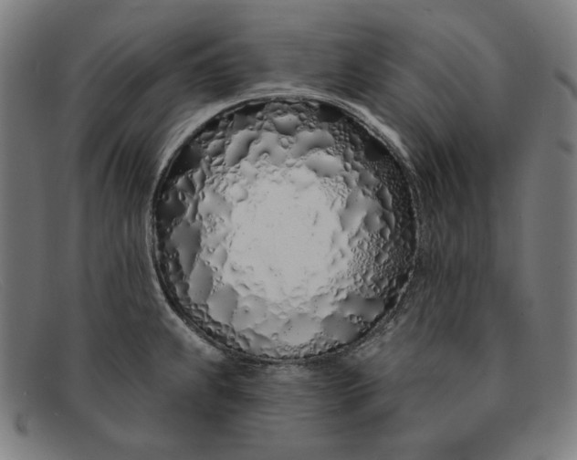 X0000091311239200708311350