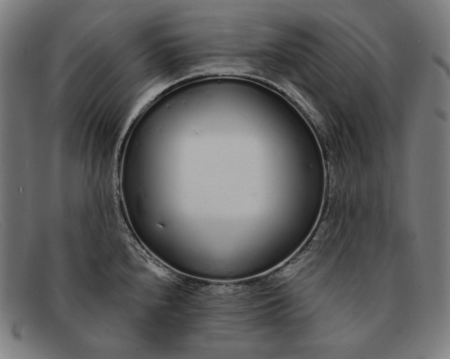 X0000091311240200708311350