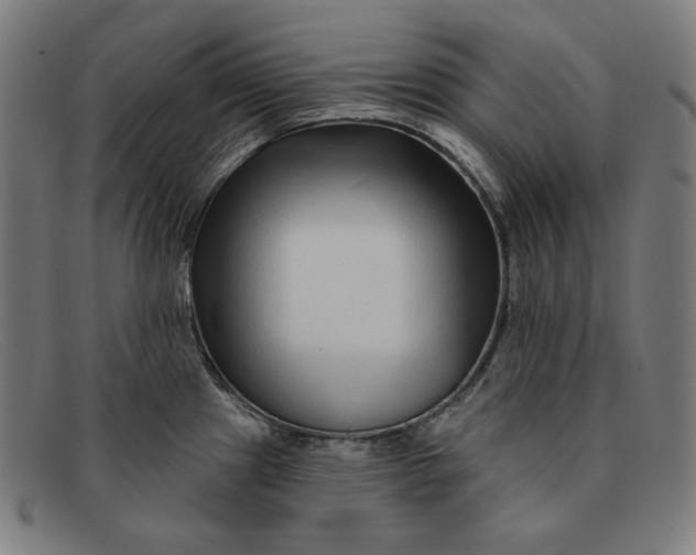 X0000091311241200708311350