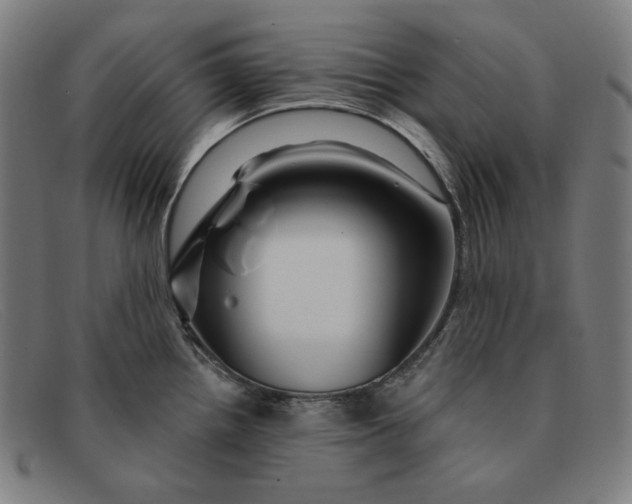 X0000091311242200708311350