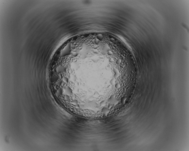 X0000091311243200708311350