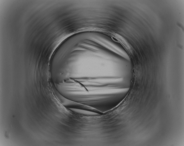 X0000091311244200708311350