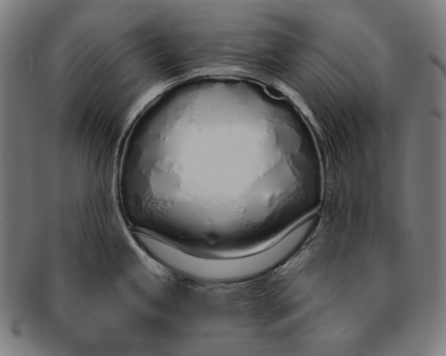 X0000091311245200708311350