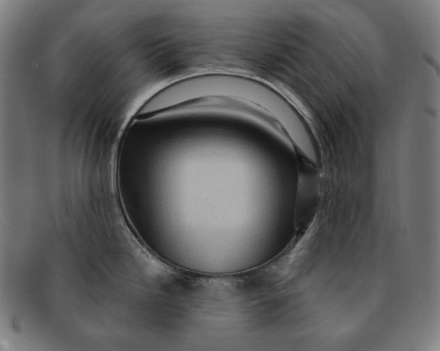 X0000091311246200708311350