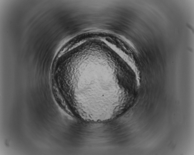 X0000091311247200708311350