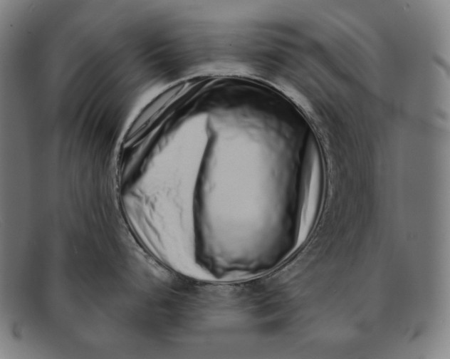 X0000091311248200708311350