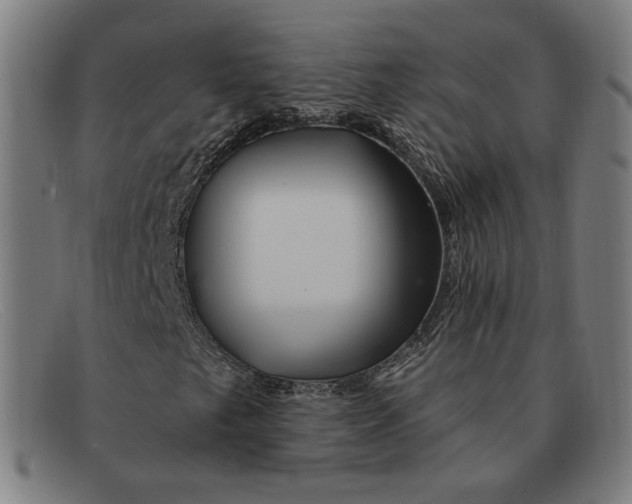 X0000091311249200708311350