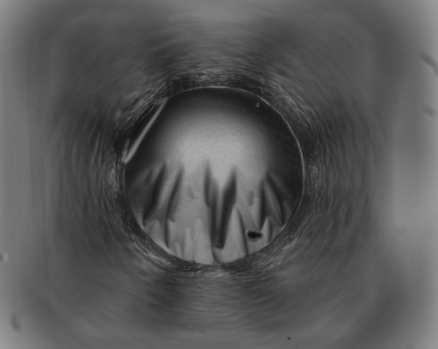 X0000091311250200708311350