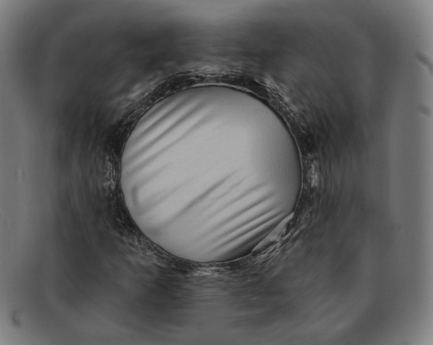 X0000091311253200708311350