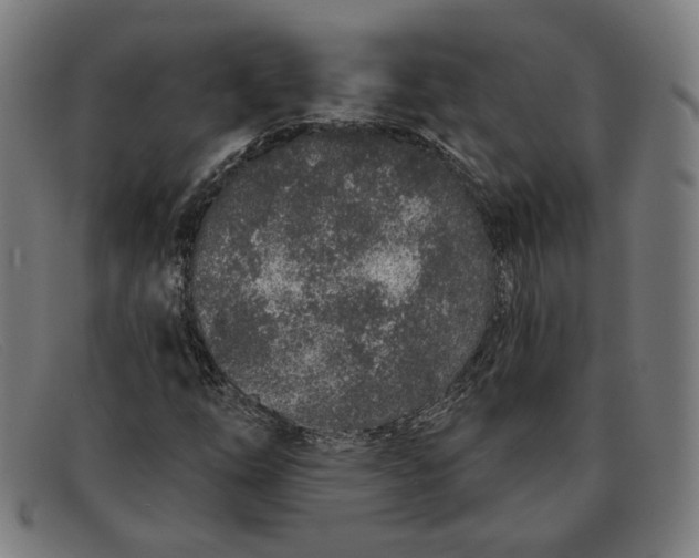 X0000091311254200708311350