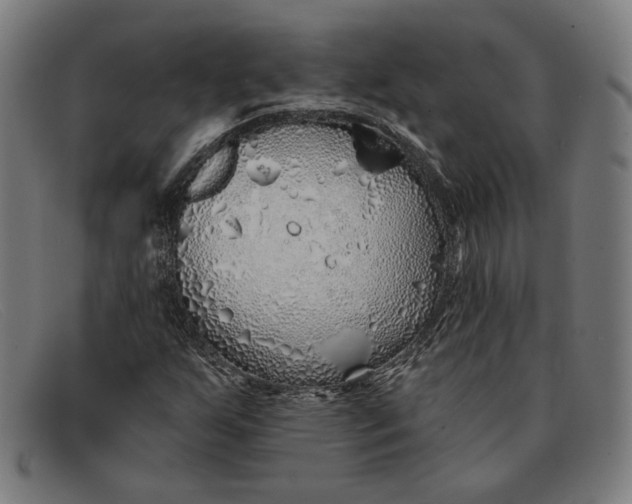 X0000091311255200708311350