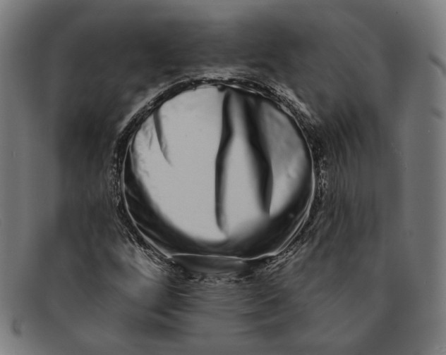 X0000091311256200708311350