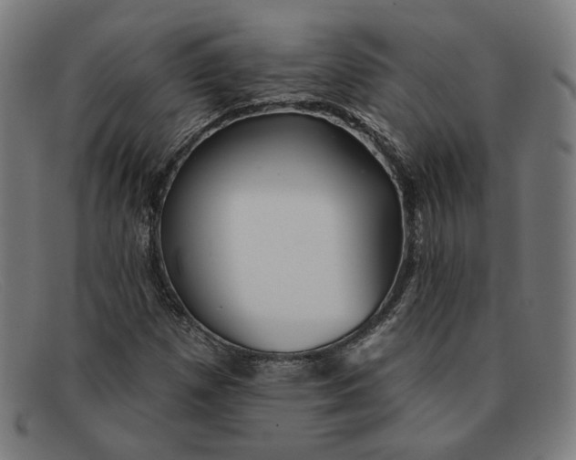 X0000091311257200708311349