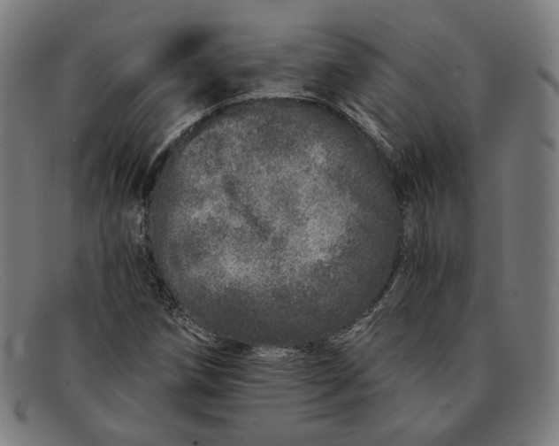 X0000091311258200708311349