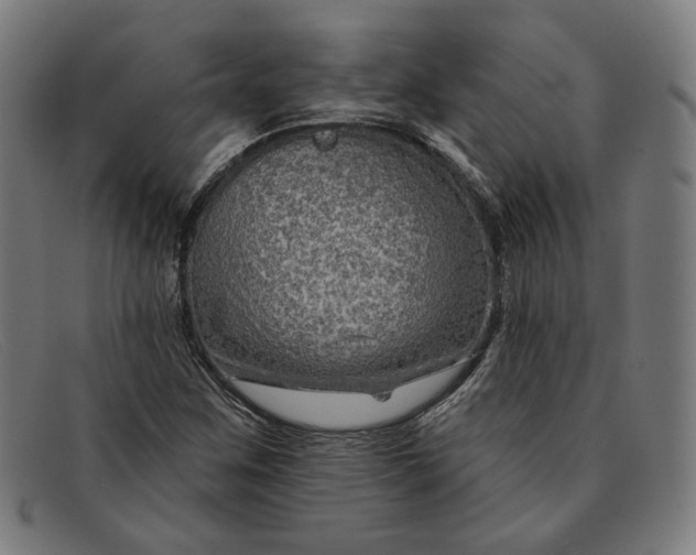 X0000091311259200708311349