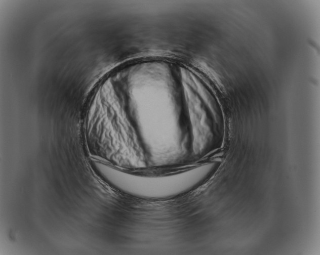 X0000091311260200708311349