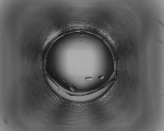 X0000091311261200708311349