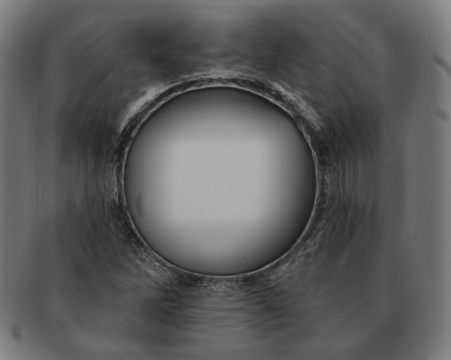 X0000091311262200708311349