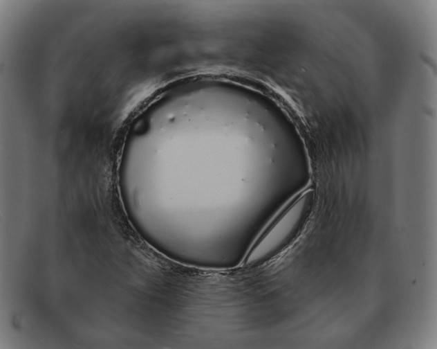 X0000091311263200708311349