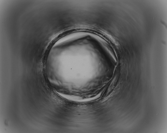 X0000091311264200708311349