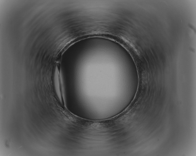 X0000091311265200708311349