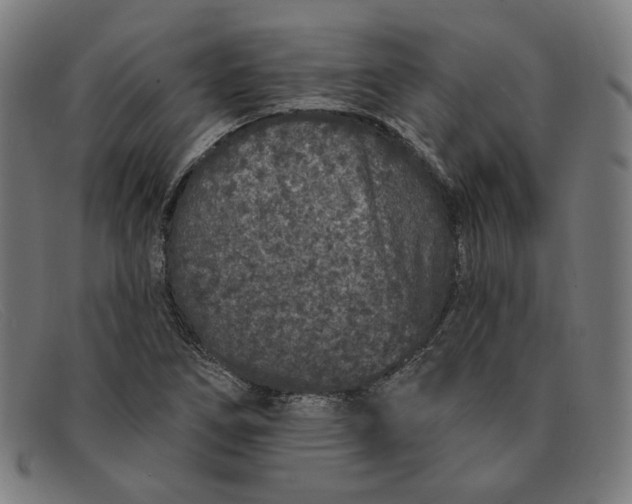 X0000091311266200708311349