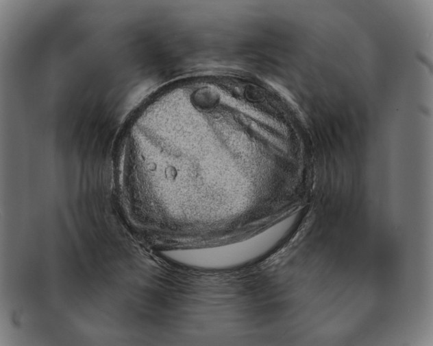 X0000091311267200708311349