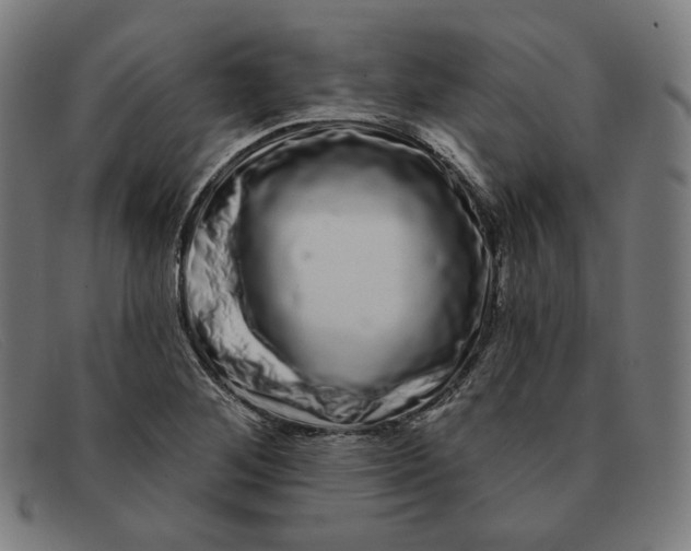 X0000091311268200708311349