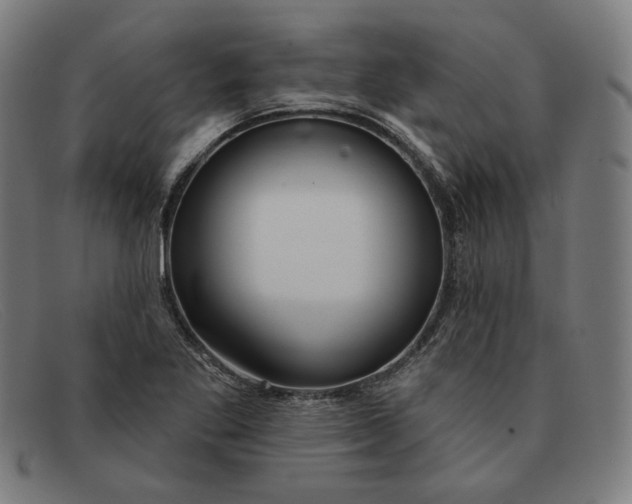 X0000091311269200708311349