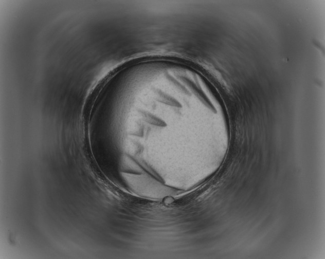 X0000091311270200708311349