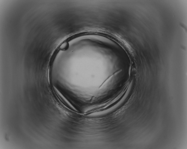 X0000091311272200708311349