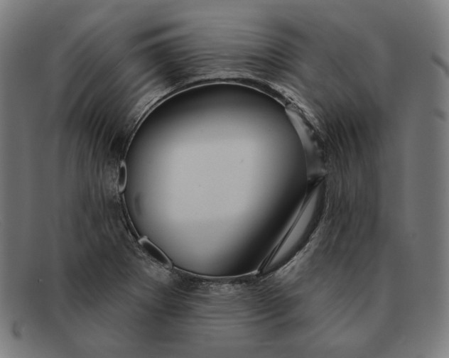 X0000091311273200708311349