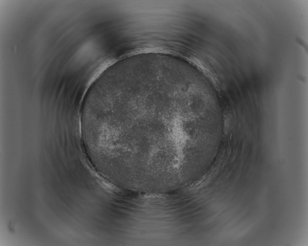 X0000091311274200708311349