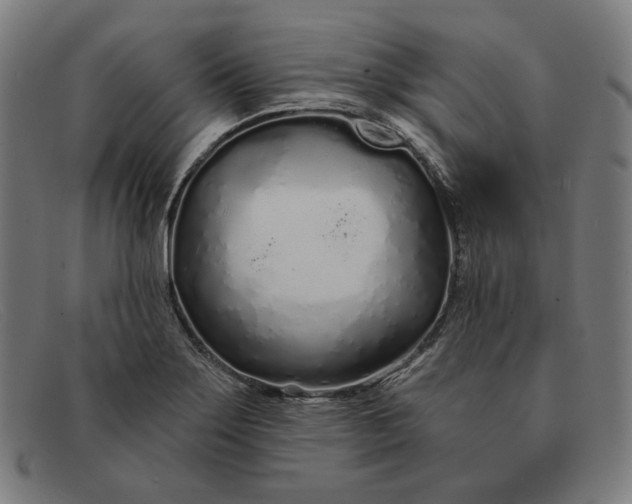 X0000091311275200708311349