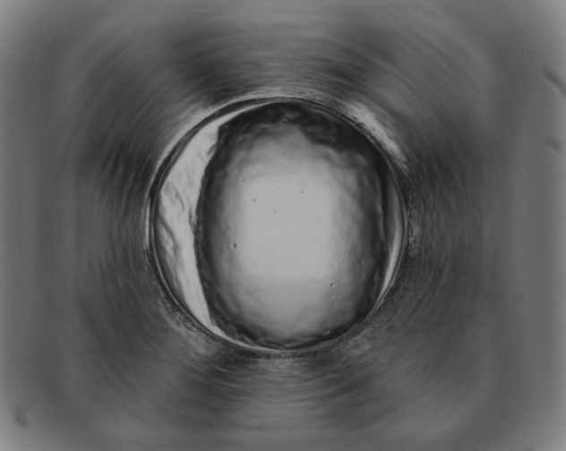 X0000091311276200708311349